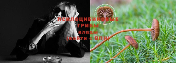 мдпв Нязепетровск