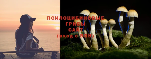 мдпв Нязепетровск