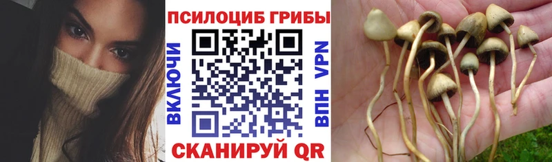 Галлюциногенные грибы GOLDEN TEACHER  Лысково 